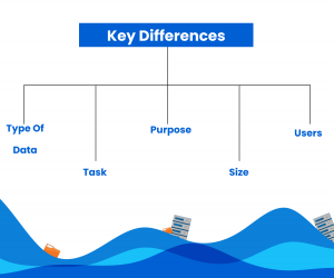 Data Lakes vs. Data Warehouses Differences